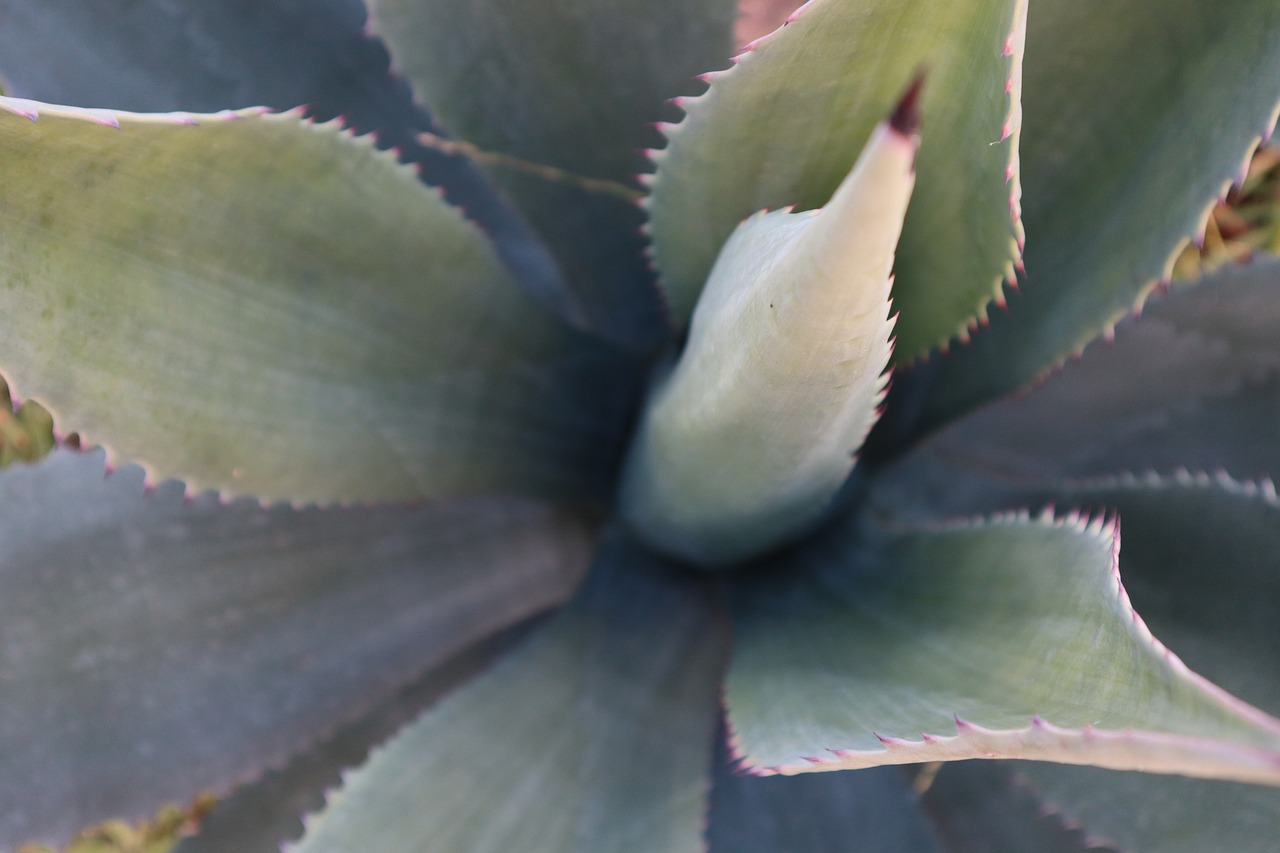 How Does Resilience Help In Overcoming Addictions?